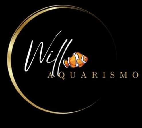 Will Aquarismo